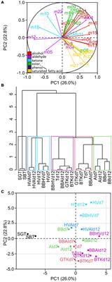 Use of a Minimal Microbial Consortium to Determine the Origin of Kombucha Flavor